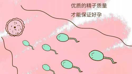 零风险代孕价格,北京可以做助孕试管婴儿医院有哪些?39岁助孕试管能成功吗?
