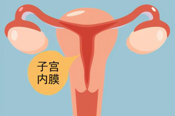昆明助孕包性别|怀化试管婴儿三代费用大约多少怀化试管医院怎么样