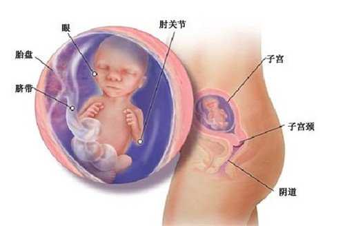 温州有泰国试管婴儿公司吗？,温州三代试管医院包生男孩吗？